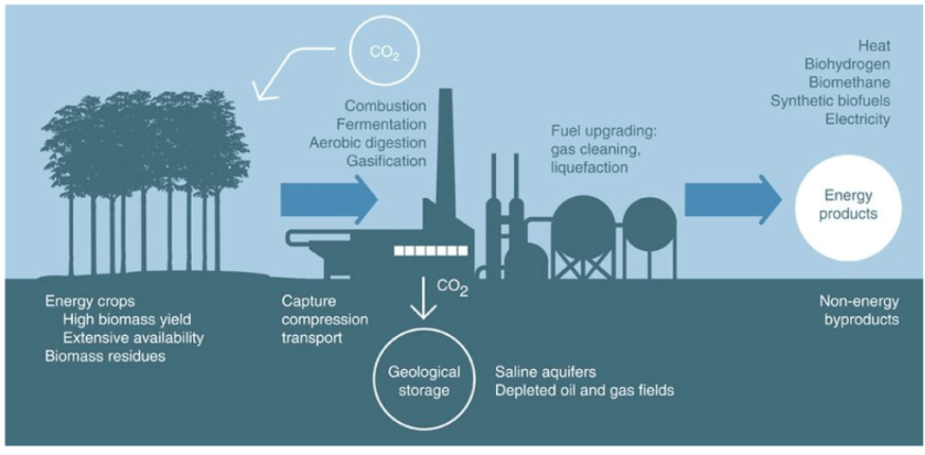 screen shot 2019-01-09 at 9.30.19 am